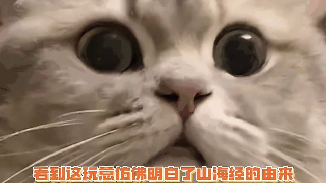 这玩意不仅长的挺别致，移动方式还那么奇怪 #神奇动物