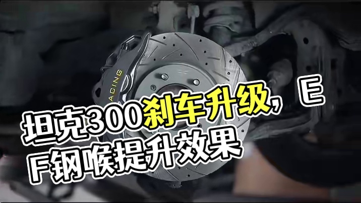 #坦克300 原厂的刹车油管和EF刹车钢喉有什么本质上的区别，更换EF刹车钢喉真的能提升刹车脚感提升