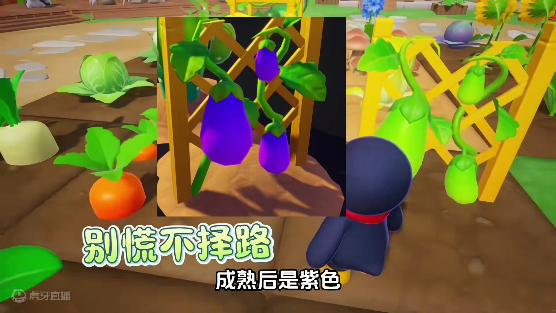 元梦农场后续作物大曝光 #元梦偷菜好上头 #元梦初夏奇遇记 #元梦之星