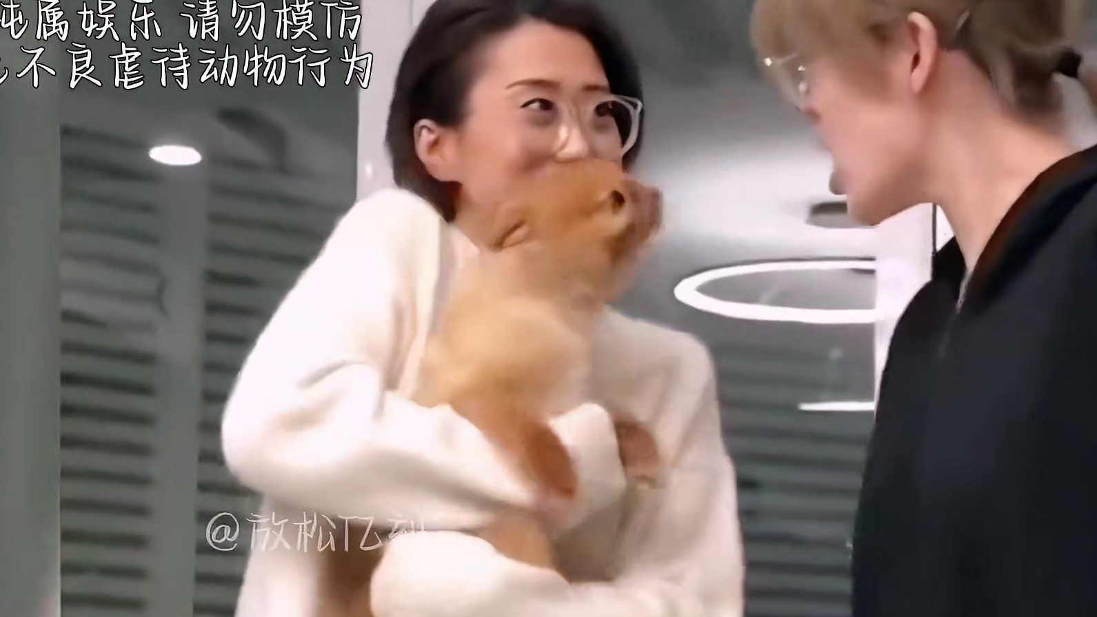 488. 盘点那些狗子的秒怂瞬间，功夫再高，也怕菜刀，全都是戏精