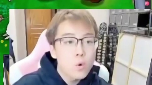 陈泽玩植物大战僵尸杂交版