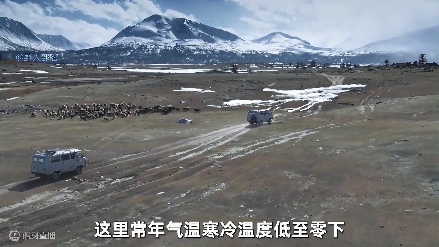 德爷挑战蒙古阿尔泰山脉，捡到一头99斤野山羊，又烹饪叫花羊腿 #荒野求生 #野外生存 #户外