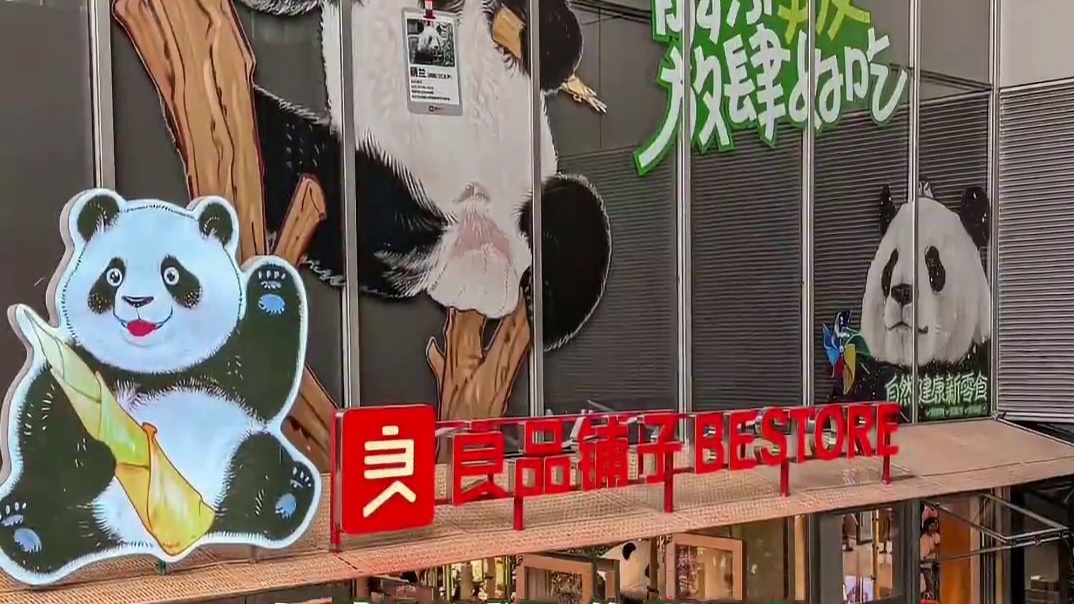 三太子萌兰，不是在创造奇迹，就是在创造奇迹的路上！#萌兰助力竹笋热  #萌兰笋爆火后笋农增收超千万