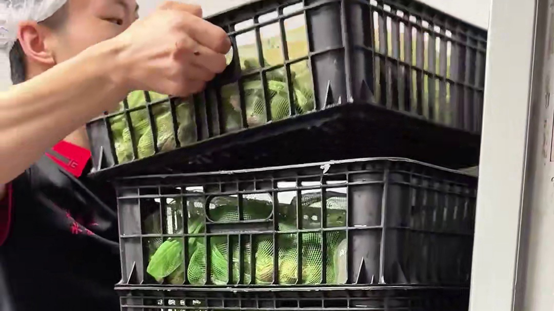 在重庆要排队7个小时的水煮蛙终于来上海了！去看看味道到底怎么样#火锅 #上海探店 #无辣不欢 #牛蛙