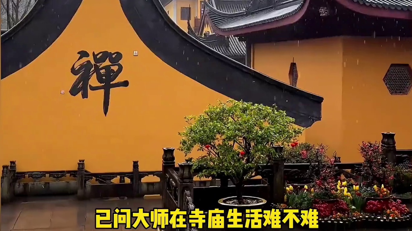 如今的和尚到底多有钱？#和尚 #豪车 #汽车