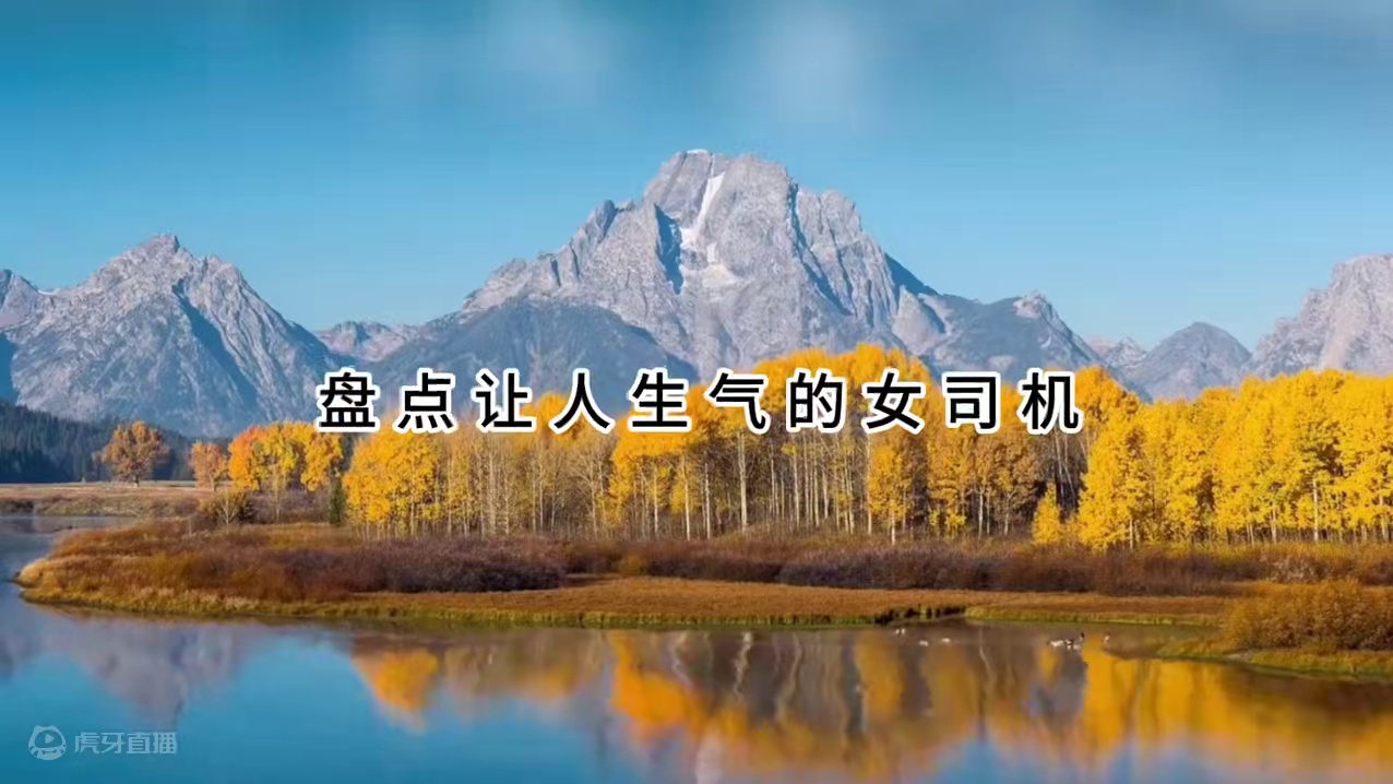 481. 盘点让人生气的女司机，副驾驶快都崩溃了，气的内伤