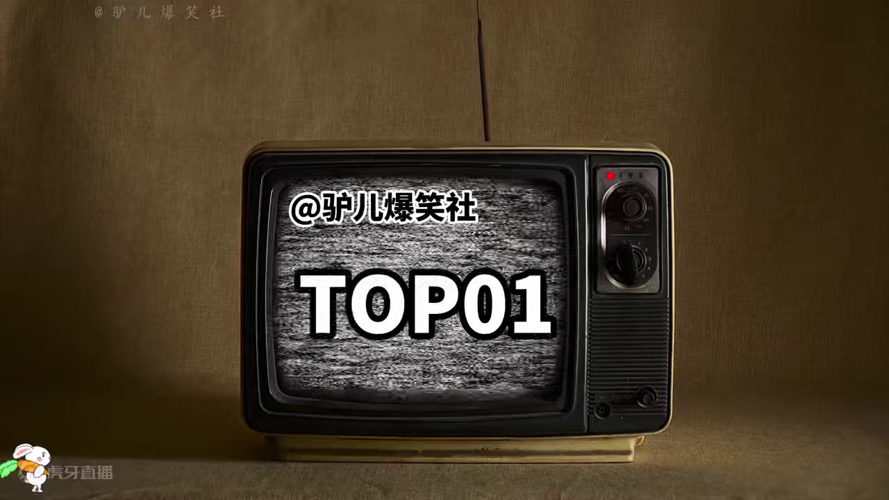 2530. 盘点动物的神级配音,一开始还以为动物会说话呢