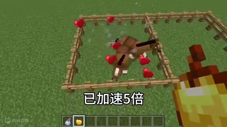 我的世界：这才是马的正确打开方式！#我的世界 #mc不灭 #mc