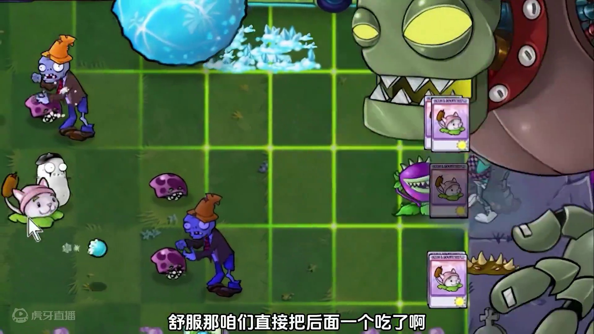 植物大战僵尸：开局两个王，谁是真的王？ #植物大战僵尸 #还得是主机大作