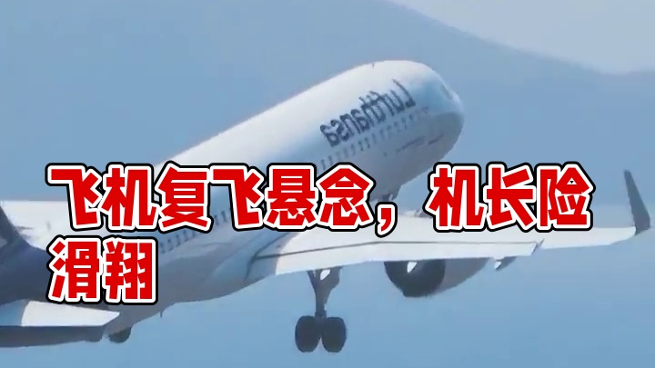 飞机艰难落地后，去遭遇复飞#飞机