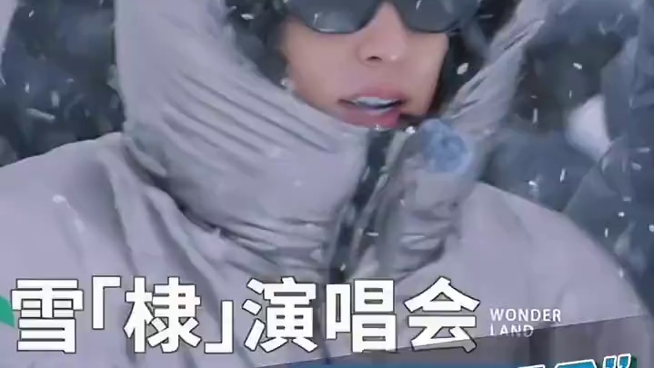 #王鹤棣  清唱《#孤勇者 》，雪棣演唱会气氛瞬间被调动！#五十公里桃花坞  #综艺 #桃花坞4