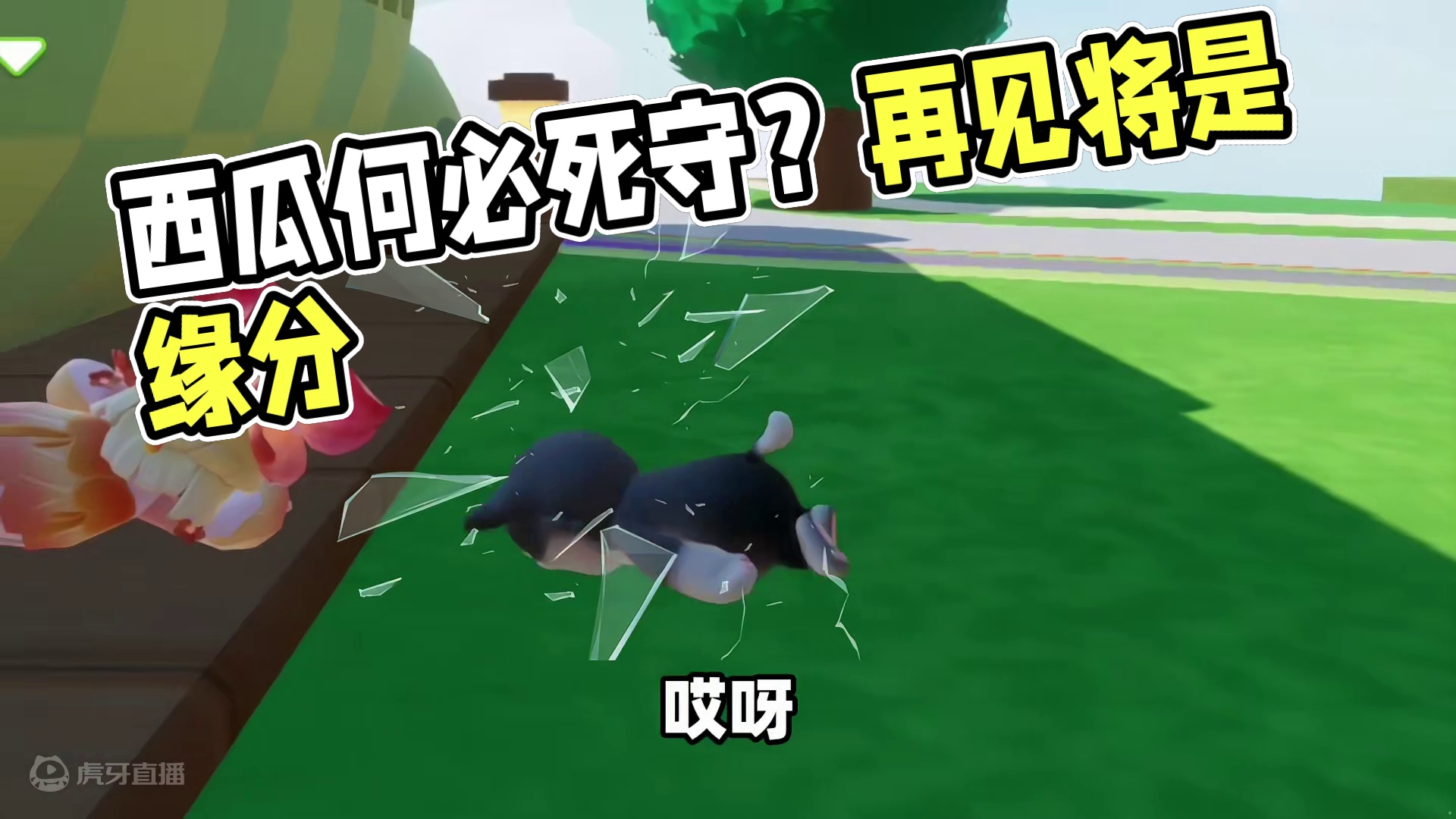 元梦之星：西瓜为救葡萄死亡！下辈子还能再遇见你吗？ #元梦之星 #元梦初夏奇遇记 #元梦之星潮音畅想