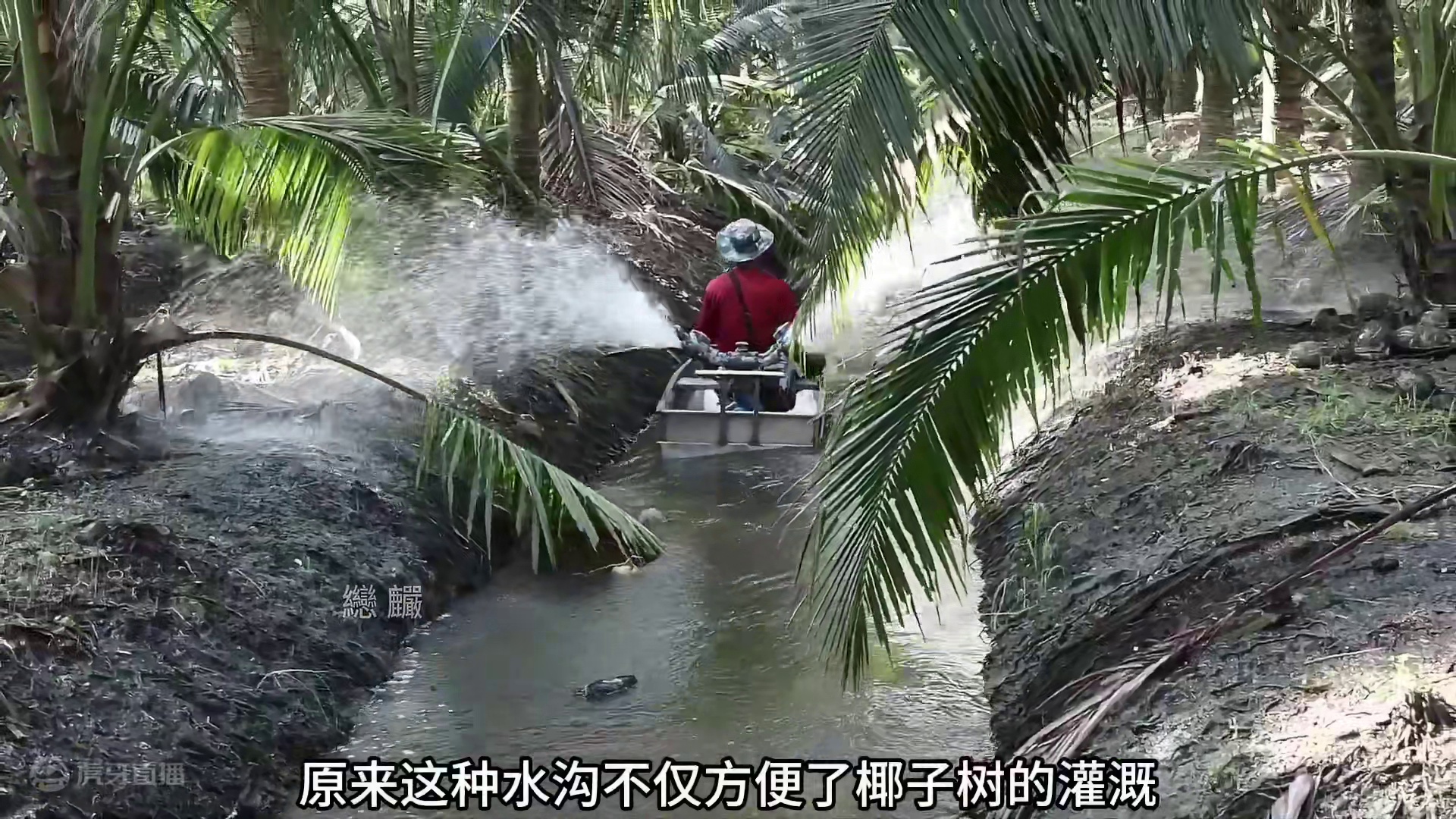 炎热的夏天来上一杯冰镇椰子水，真是太爽了！#椰子水 #夏日饮品 #仙女都在喝什么 #好喝不贵