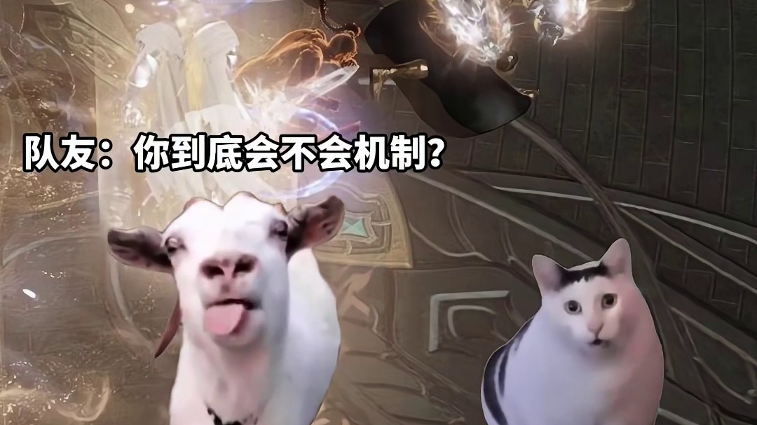 鉴定完毕：无内鬼无内鬼，继续副本！#命运方舟天界圣域 #命运方舟 #游戏日常 #游戏中的瞬间