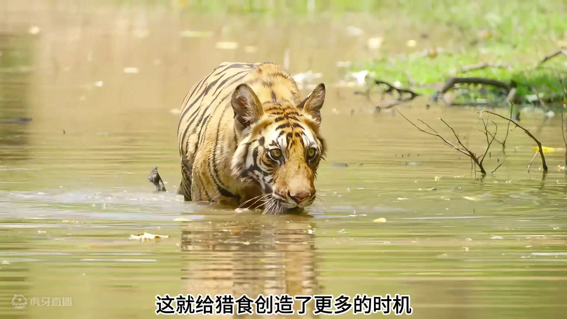 《帝 王 引 擎》（3）