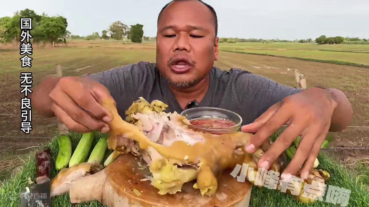 老马吃啥都感觉那么香，红烧大肘子真香呀 #肘子 #咀嚼声 #咀嚼音解压 #太好吃了吧 #我要上热门