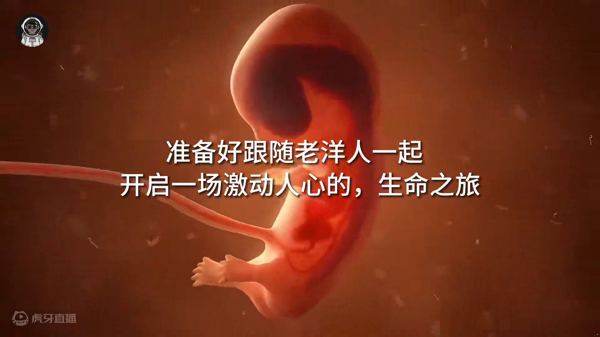 123. 从小蝌蚪到婴儿的全部历程，完整展现一个生命诞生的奇迹