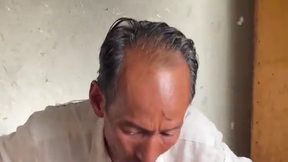 这云南的飞蚂蚁 你们吃过吗？#美食 #记录我的农村生活 #昆虫美食   #支持三农扶持三农发展 #我