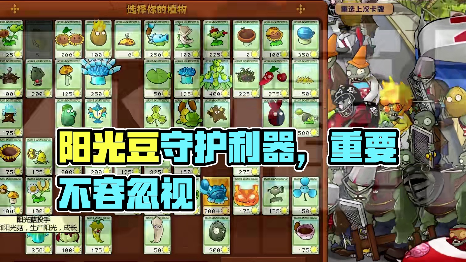 这个豆子的厉害想必各位有所耳闻吧