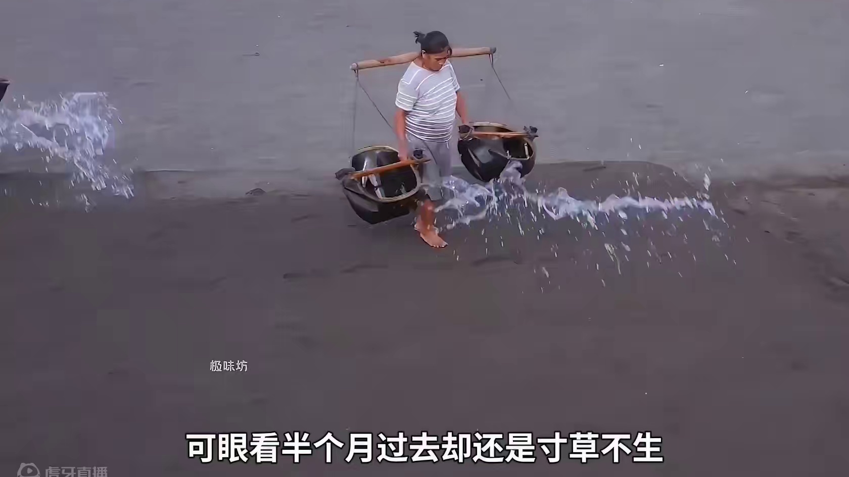 美味的黑金酥是如何制作的？ #黑金酥 #蛋黄酥 #制作过程 #好吃到停不下来