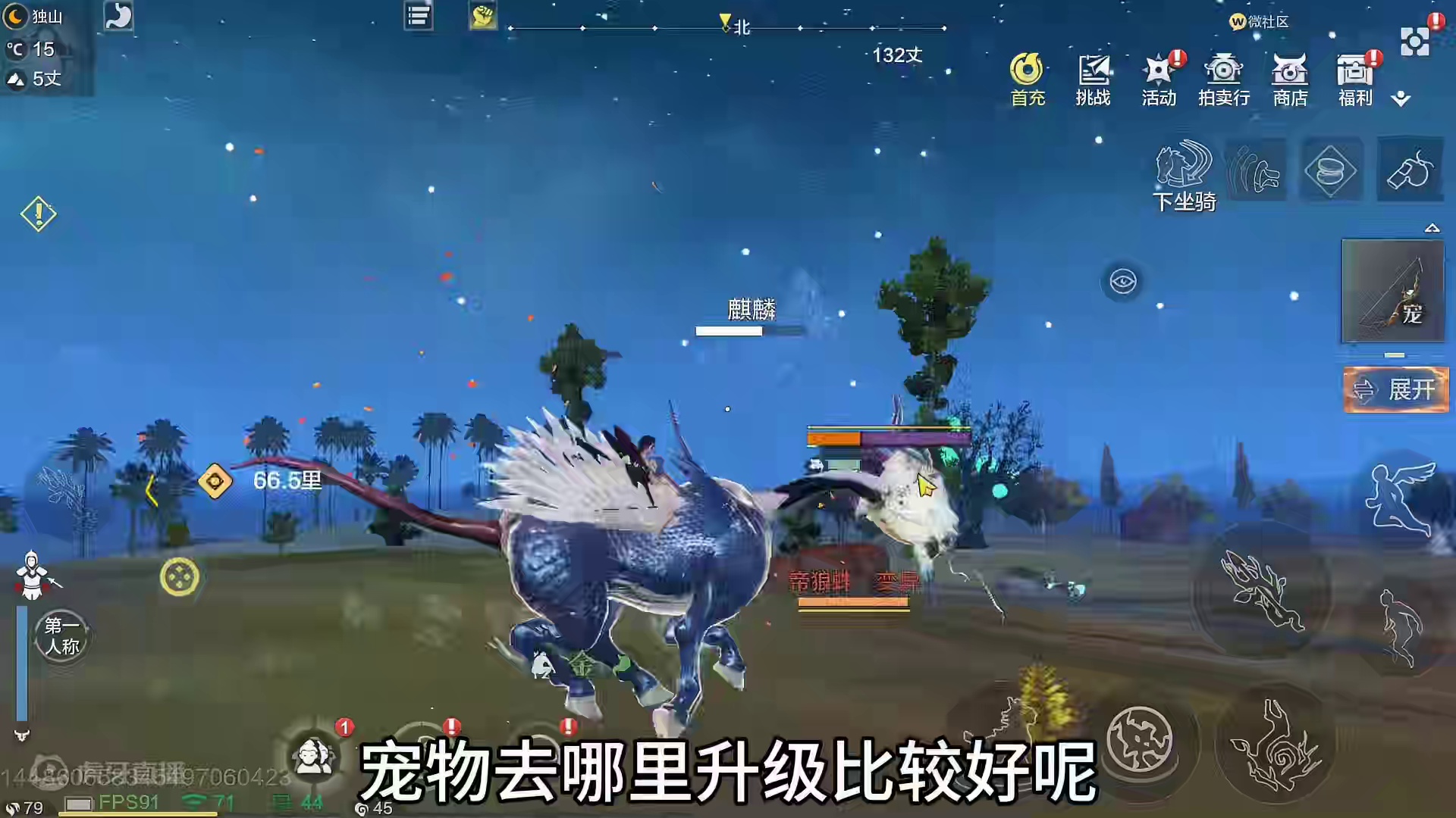 当前版本 除了挂机外 宠物去哪里升级比较好？目前推荐的两种方式#妄想山海 #宠物升级 #锁灵弓 #北