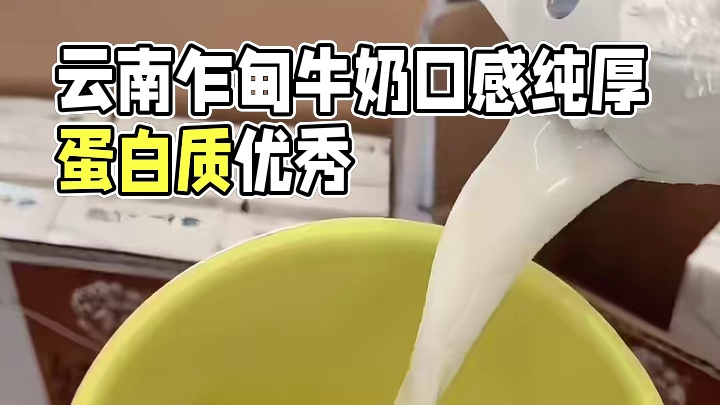 云南的牛奶你可以永远相信！乍甸牛奶也卷起来了做早餐奶好好喝#纯牛奶 #生牛乳 #云南乍甸牛奶 #云南
