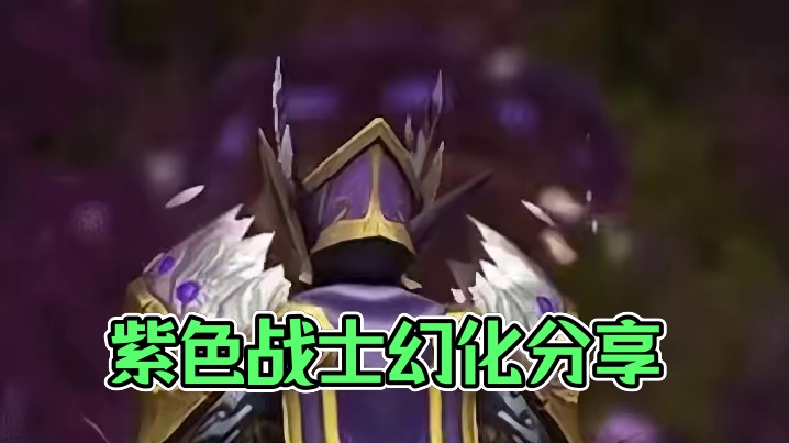 紫色系，今日魔兽世界战士幻化分享 