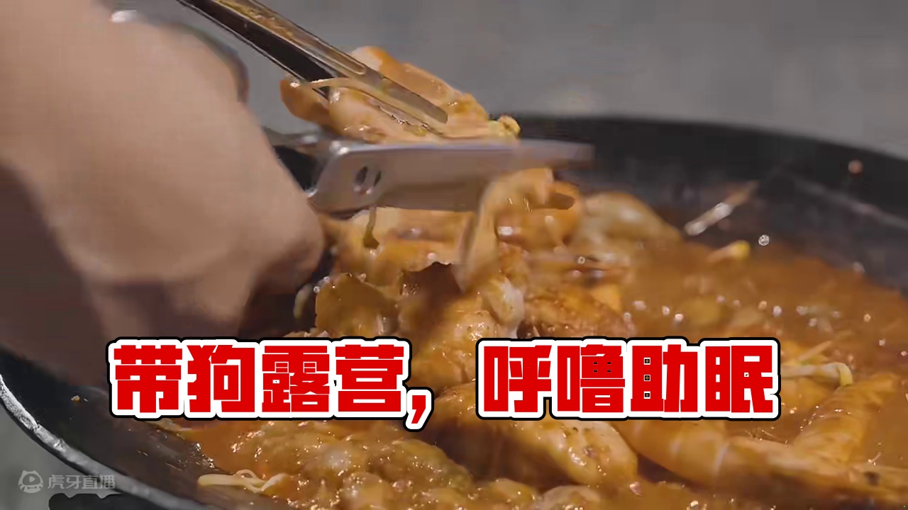 露营徒步：萌宠篇（壹）
带着狗子出去玩~
 #露营 #萌宠  #助眠 #户外露营 #带狗旅行