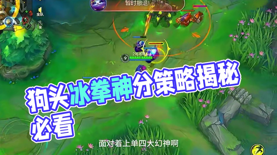 狗头冰拳三项神分到底怎么选择？本期视频给你答案！#狗头