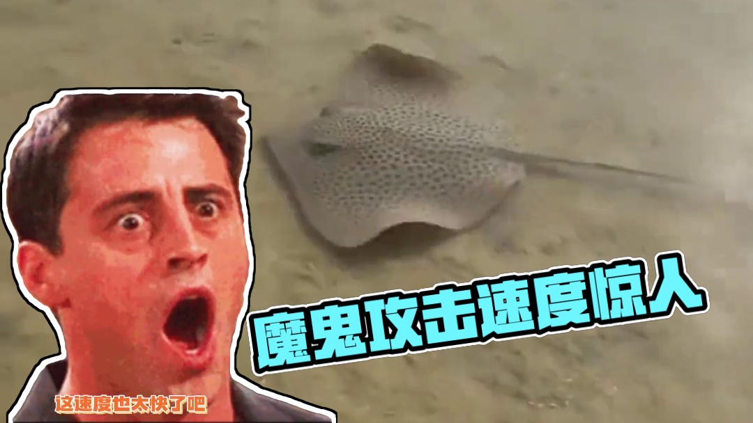 它歘一下就过来了