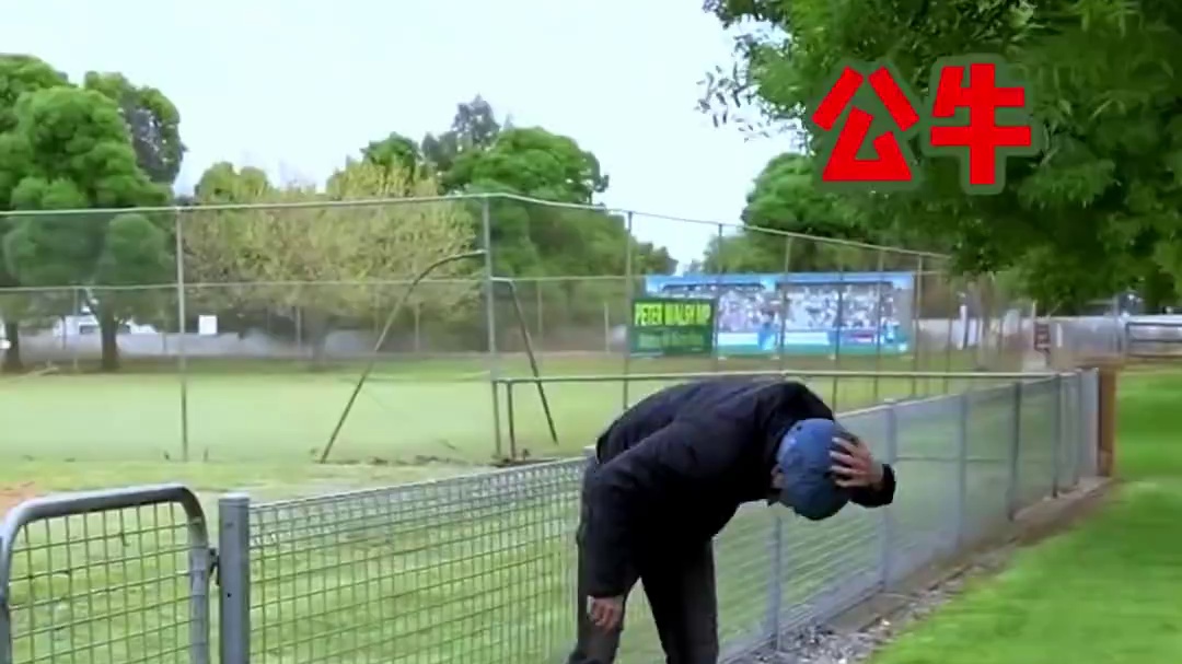 人类模仿动物跨越栏杆#外国人真会玩 #神操作 #游戏 #国外沙雕日常 #离谱