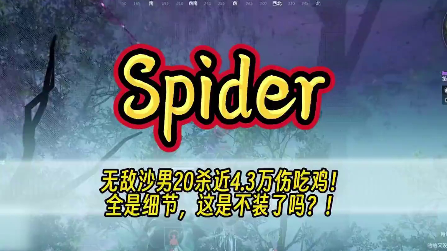 Spider无敌沙男一路平推20杀近4.3万伤害吃鸡！全是细节，这是不装了吗？！#NBPL #202