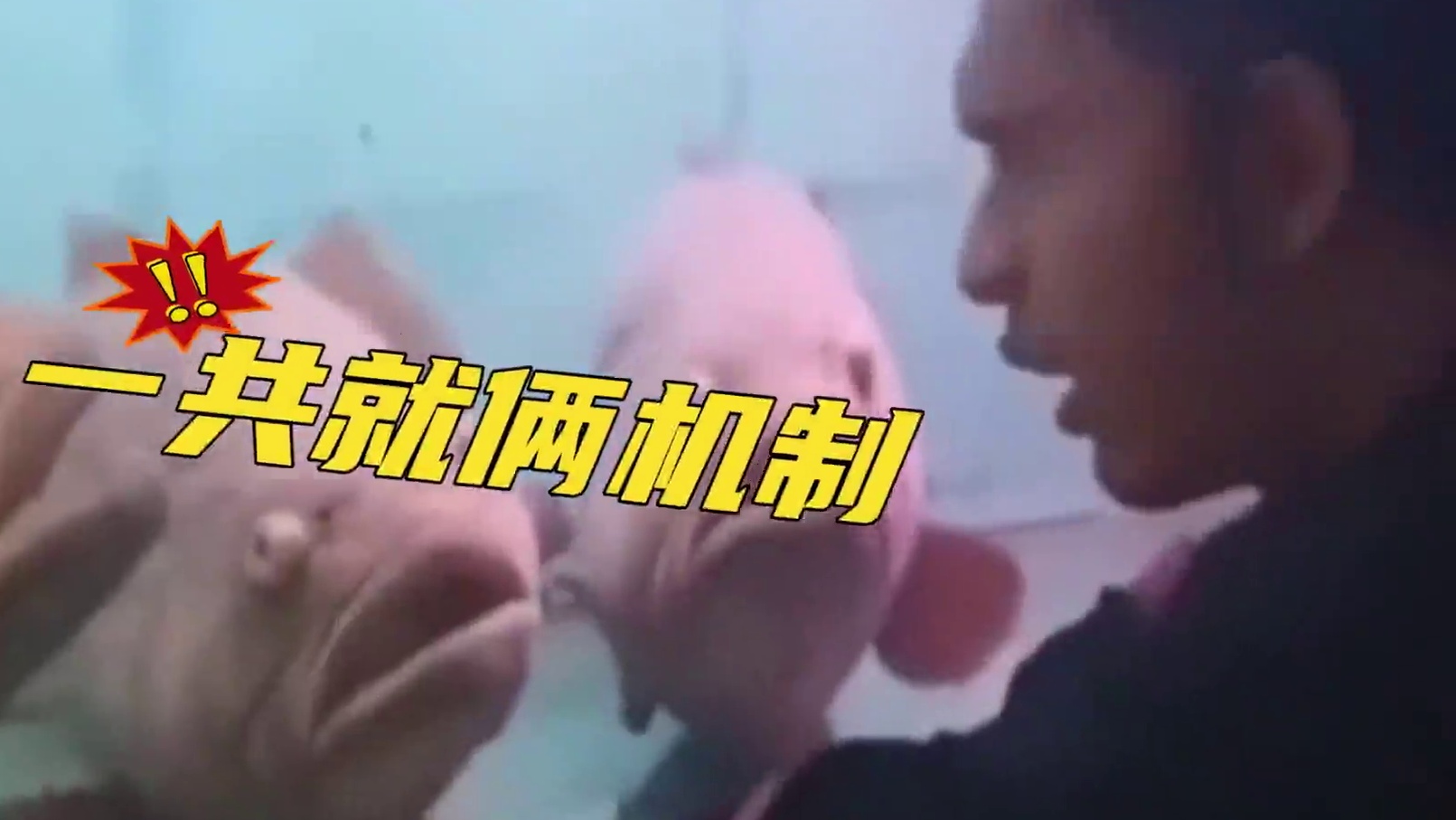 那些年牢天界的狱友 #命运方舟 #命运方舟国服 #命运方舟天界圣域