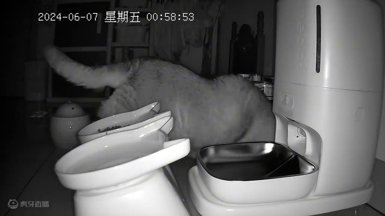 蛋蛋还会叫它爹一起回房睡觉 回复 