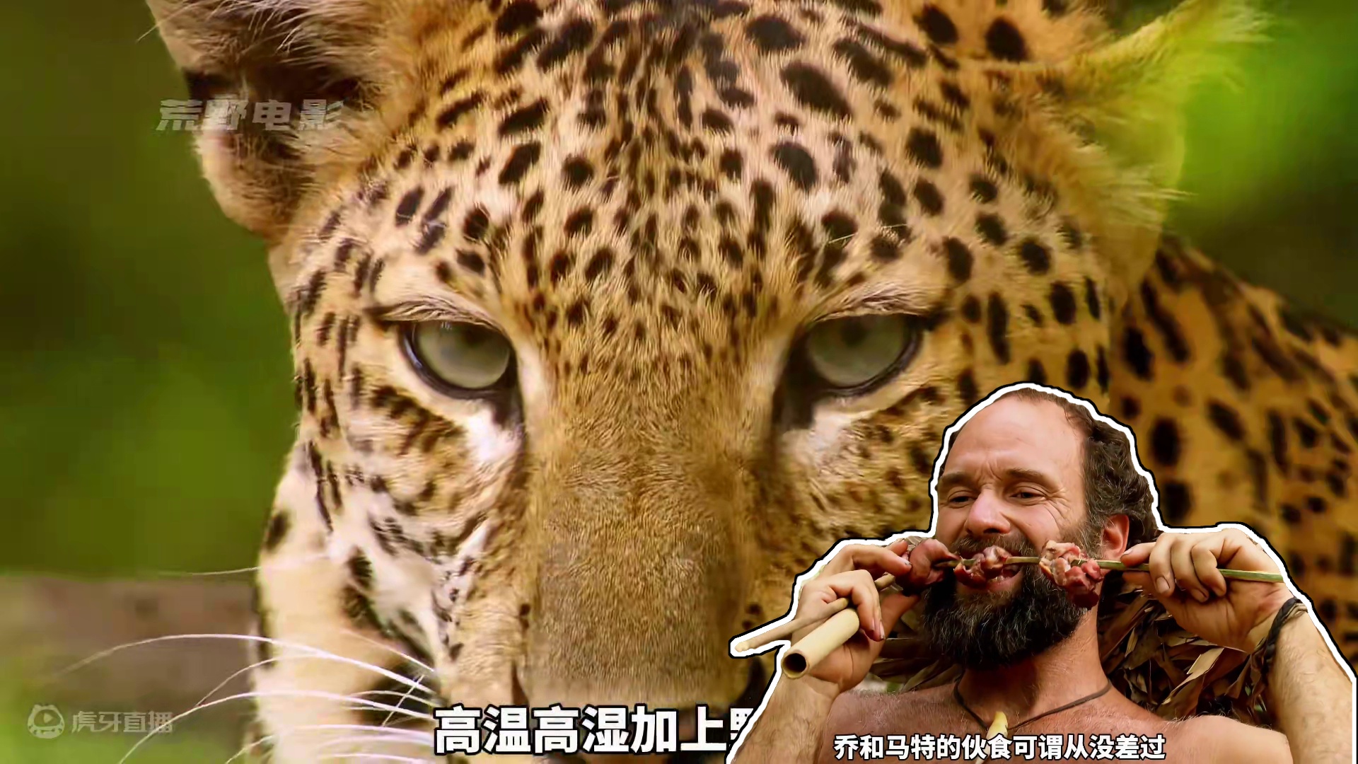 乔和马特来到越南丛林，制作十字弓捕猎烤猪，睡竹席吃烤肉 #求生一加一  #荒野求生  #野外生存 