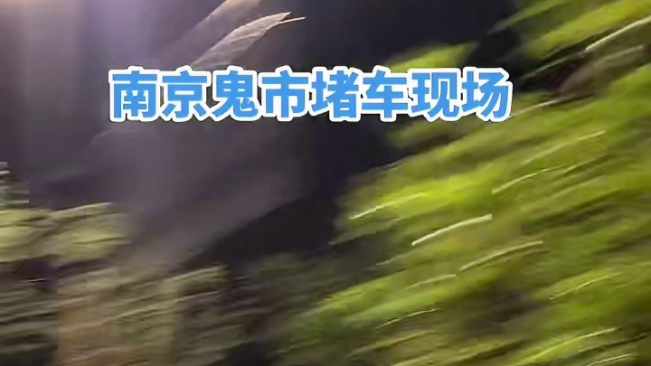 南京鬼市开市堵车现场 车山车海 #南京鬼市 #夜市里的烟火气 #南京鬼市开市啦 #南京鬼市小雨生 #