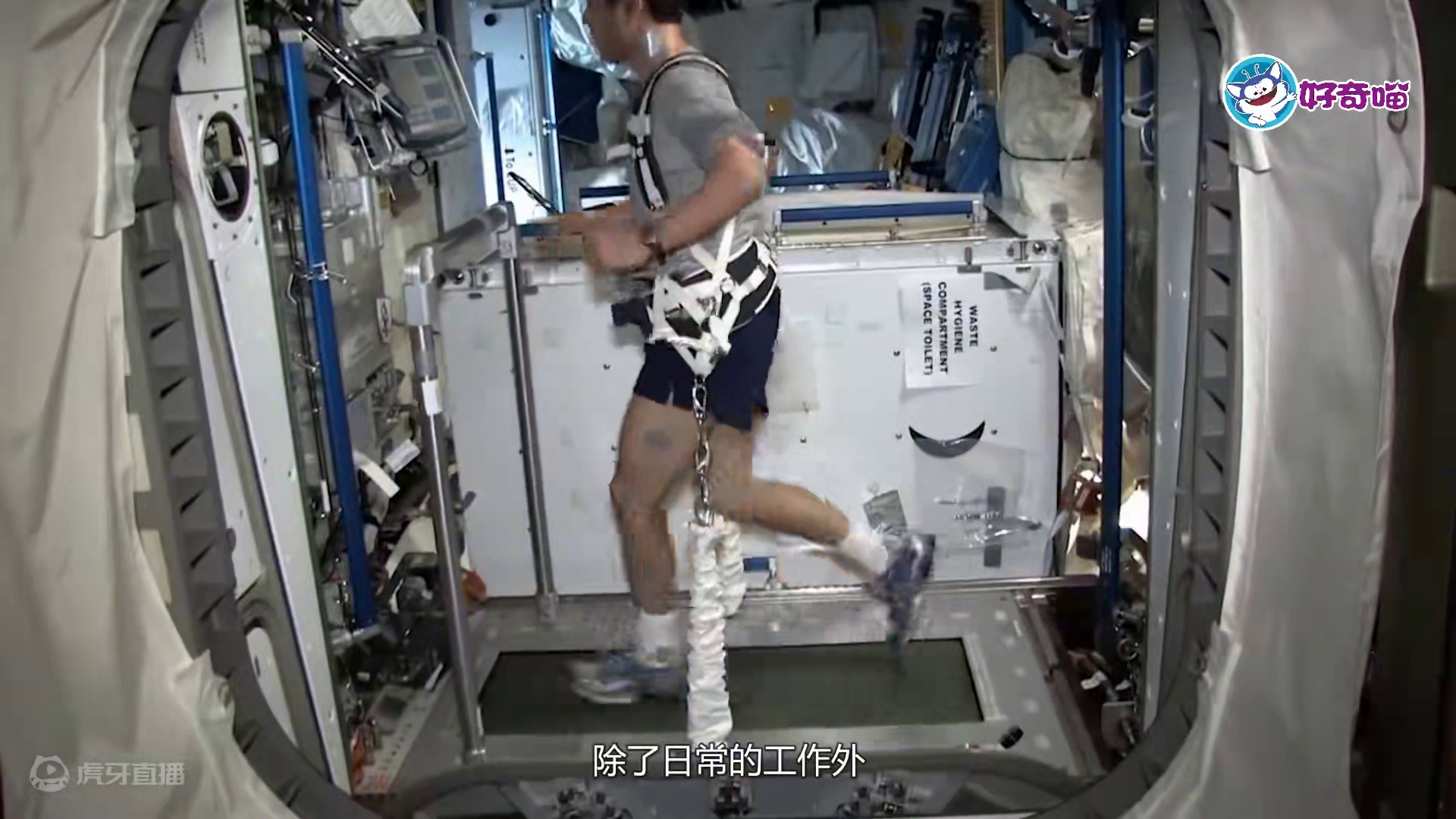 揭开宇航员的太空生活 #原创动画 #抖进科学 #三维动画 #高考语文作文 #mg动画 #未来科技