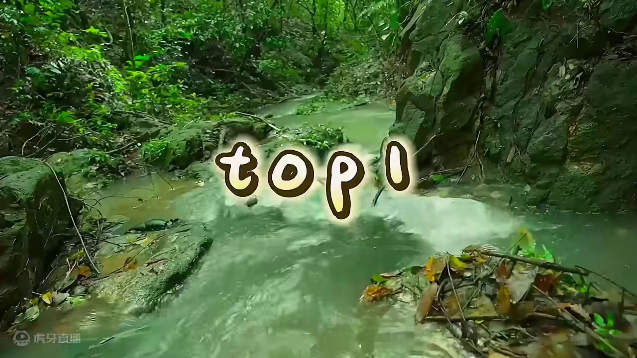 598. 盘点万物皆有灵性名场面，主人卖牛，牛临走时下跪 #动物都是有灵性的