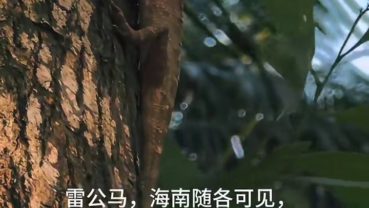 雷公马是什么？是一种机车！