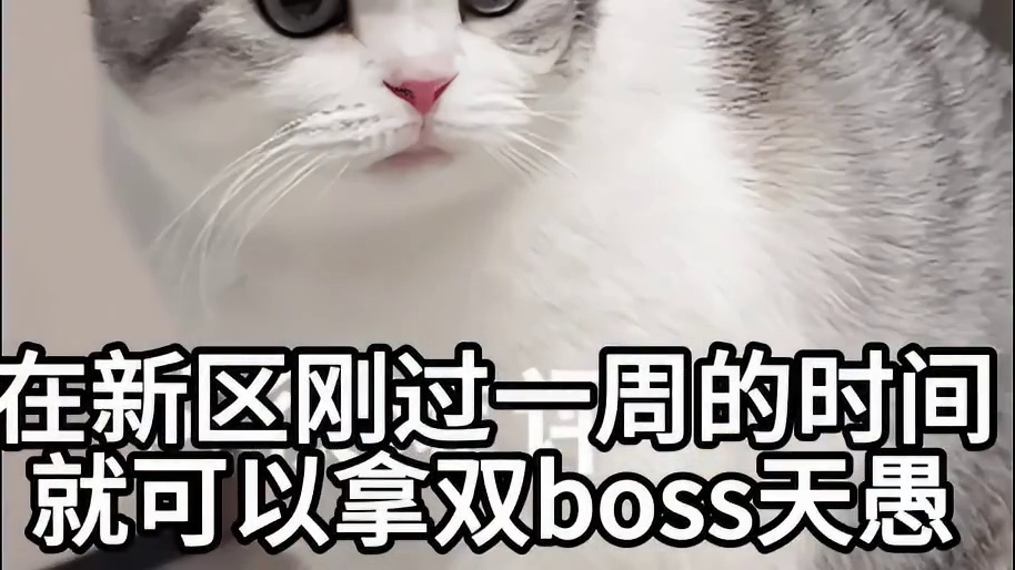 开服一周的区服，周一双boss天愚，爪锤四切流 #妄想山海