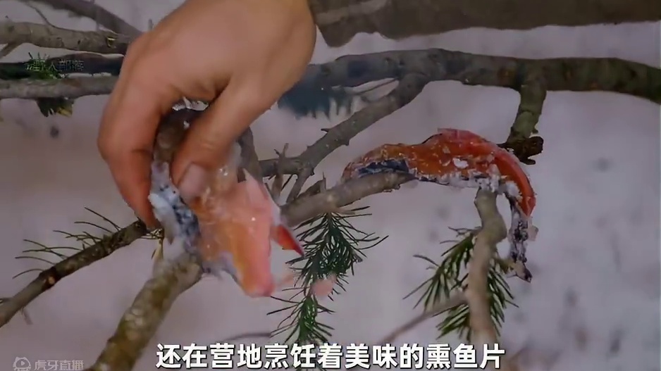 乔和马特挑战雪地求生，吃着嘎嘣脆的烤鱼干，还有美味的熏鱼片 #荒野求生 #野外生存 #户外