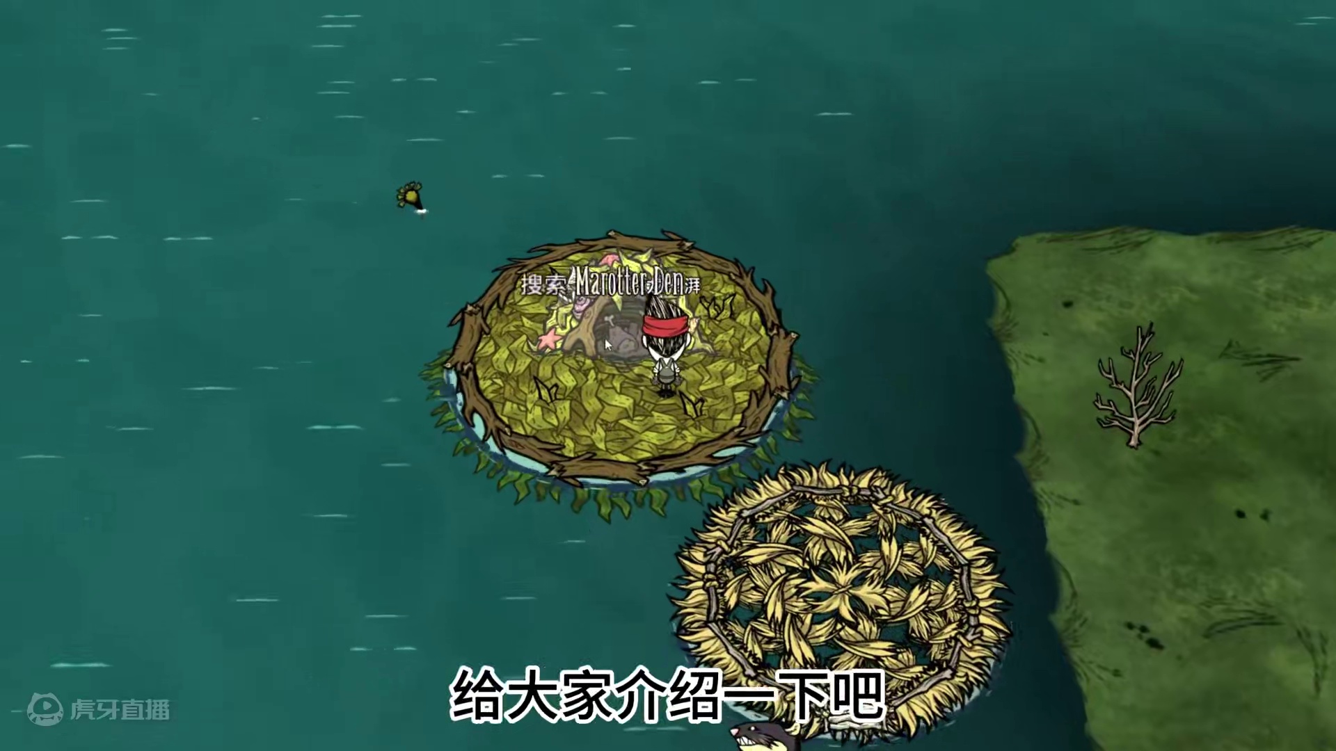 饥荒6月测试服更新速看，小鱼人沃特、女工薇洛娜增加技能树 #饥荒 #饥荒联机版 #饥荒更新 帝王蟹机