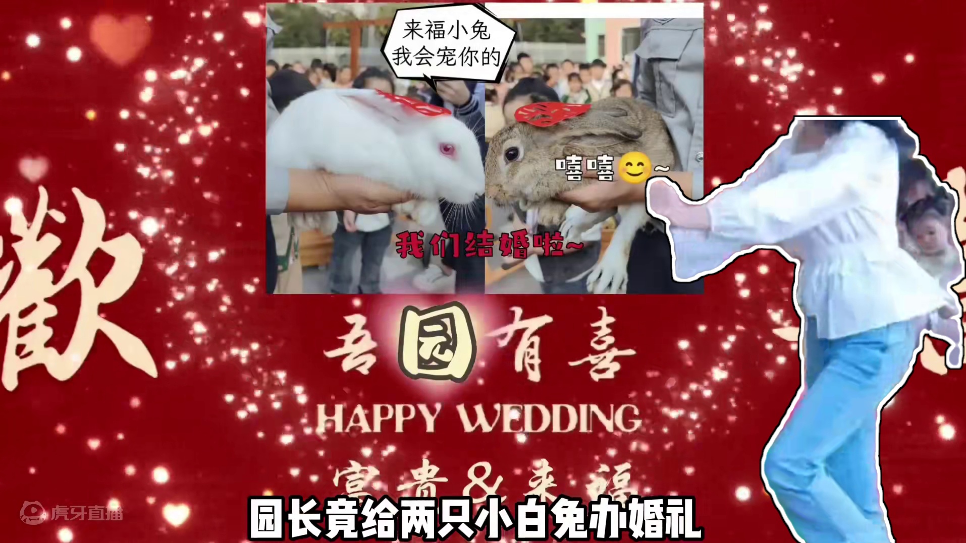 幼儿园给兔子办婚礼 请小朋友吃席#幼儿园给兔子办婚礼