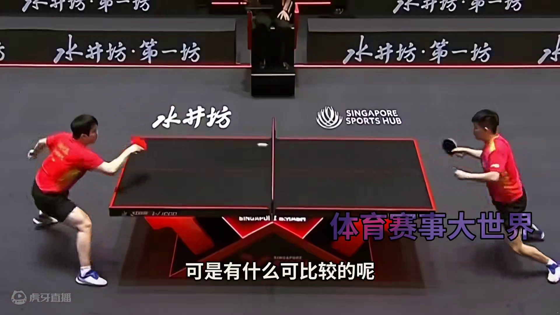 谁更优秀？樊振东荣誉满身，王楚钦技能卓越#国乒 #王楚钦 #樊振东 #巴黎奥运会 #绝代双骄 #都是