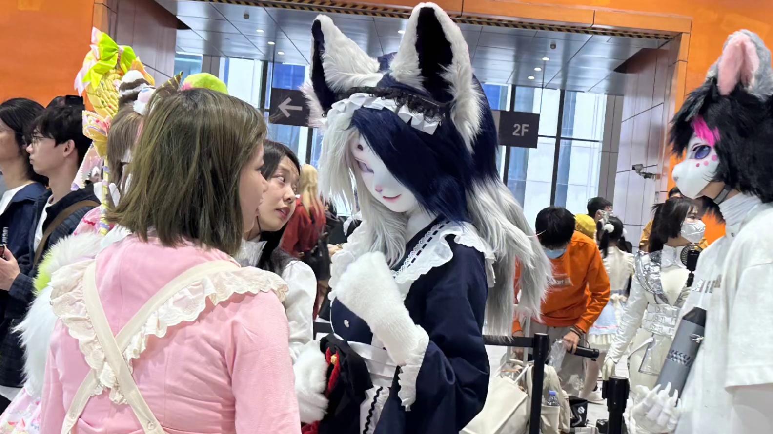 ＃极品飞车集结
＃极品飞车集结萤火虫漫展
＃周大爷硬控五星上将
