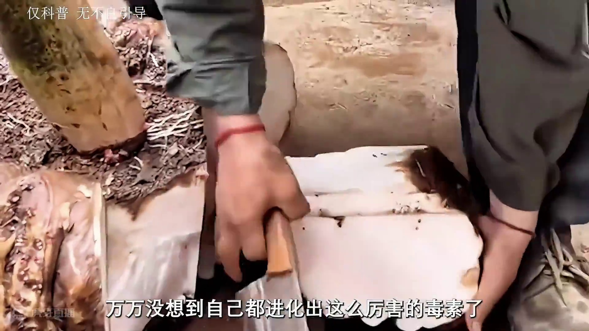 揭秘魔芋丝的制作过程，这样制作的魔芋你敢吃吗？#超便宜超划算 #魔芋丝 #盐津铺子 #无辣不欢 #魔