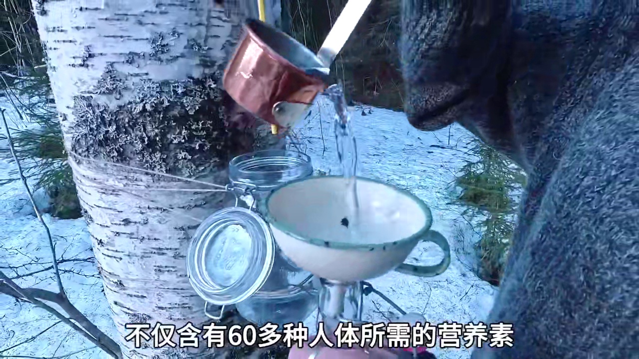 女人无意间发现了个奇怪的现象#桦树汁 #白桦树汁 #白桦树原汁 #超便宜超划算