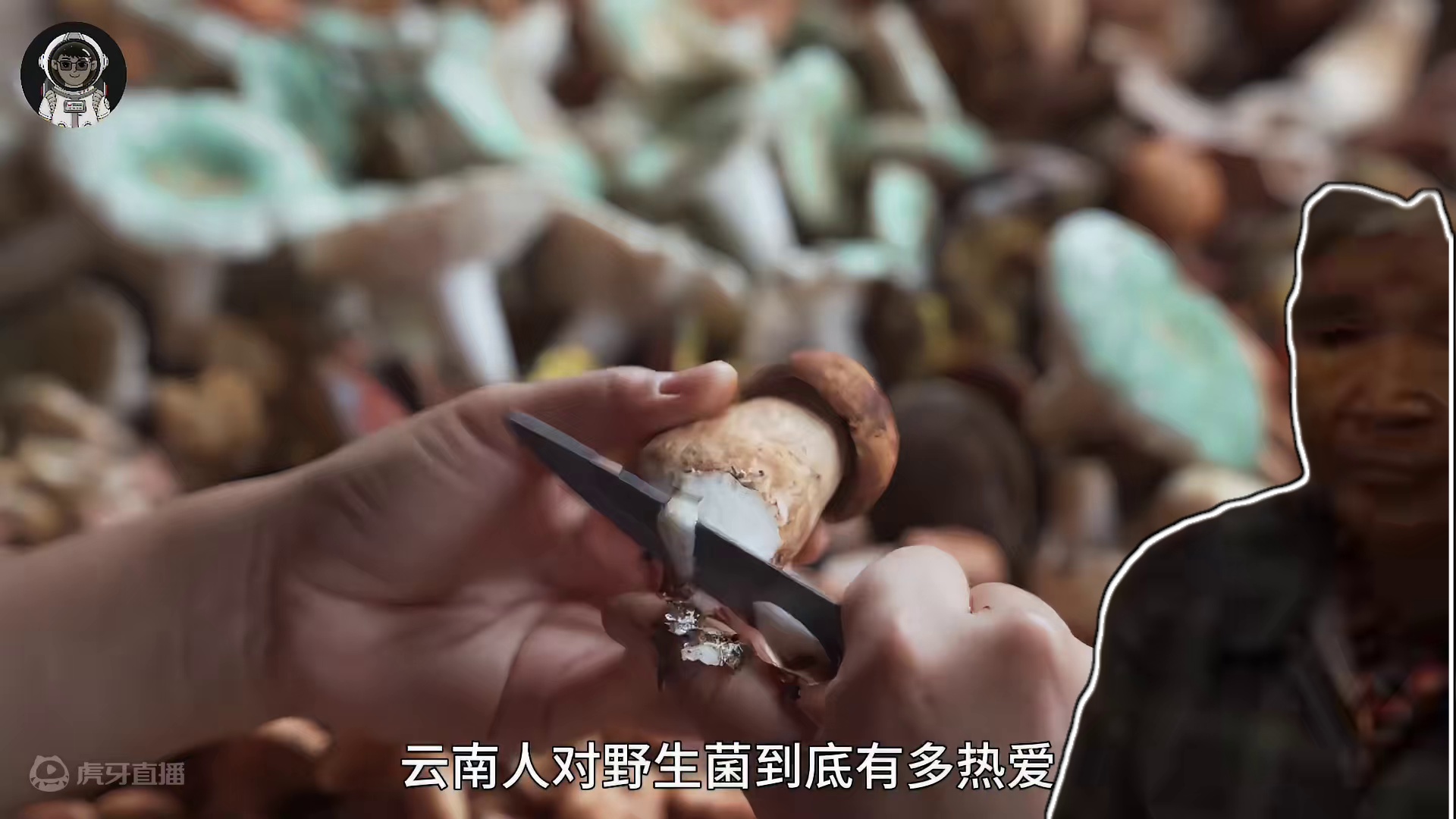 185. 云南人对菌子到底有多痴迷，盘点下云南人心目中的十种野生菌