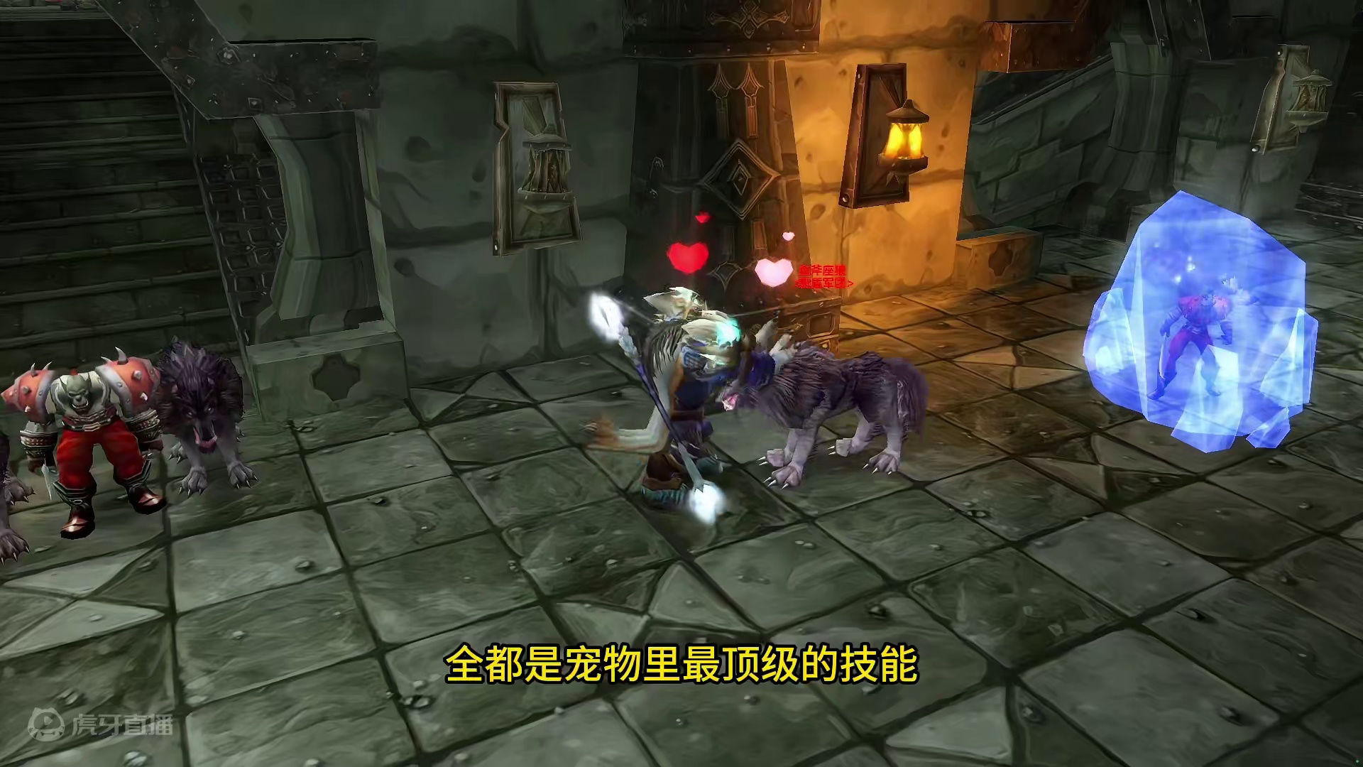 黑下是单刷玩家的宝藏乐园 盘点8大各职业热门单刷 #魔兽世界 #魔兽世界怀旧服 #我比你们多一个世界