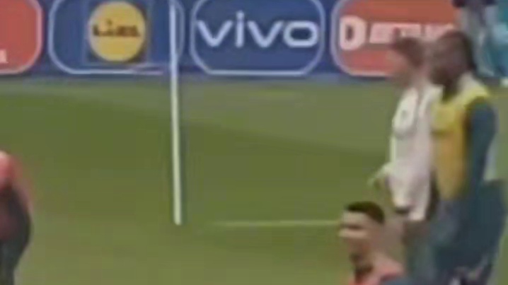 太逗了！球迷冲入场内找C罗合影被安保阻拦！C罗招手 #欧洲杯 #